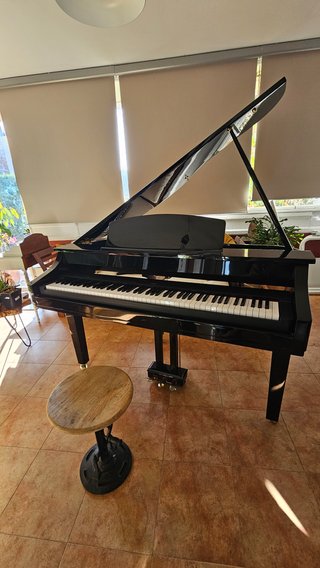 Carcasa de Piano Cola / Piano Shell
