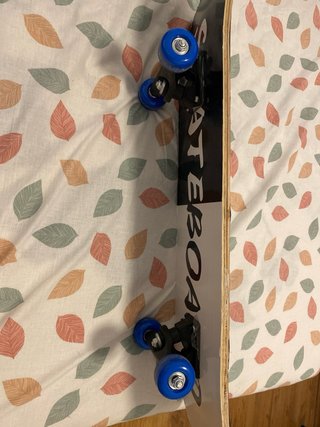 Tabla de Skate Grizzly