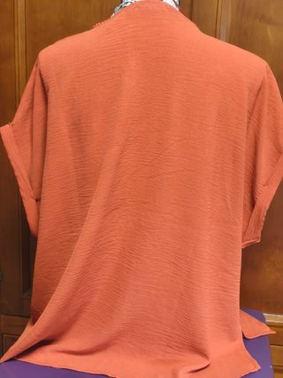 Blusa manga corta Encuentro naranja