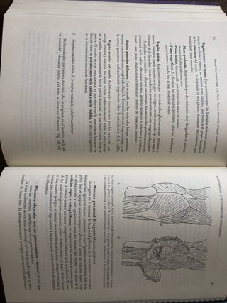 Anatomía (UGR GUIRAO)d la postura y del movimiento