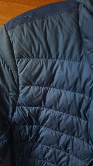 Anorak Geox Azul con Capucha