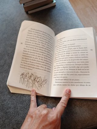 Libros las brujas