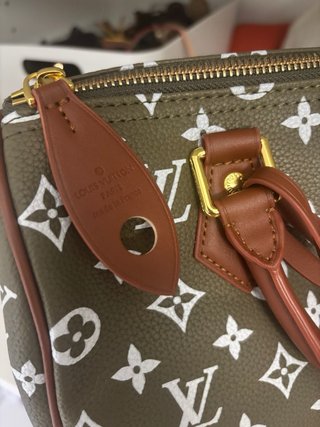 Bolso Louis Speedy Marrón/Verde Interior marron