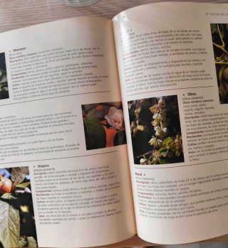 El gran libro de la jardinería . Ediciones Rueda.