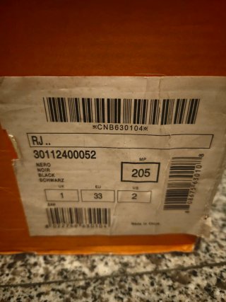 Botas de esquí Tecnica