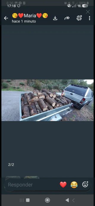 Leña de roble para chimenea