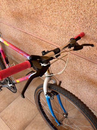 Bicicleta Montaña Vintage