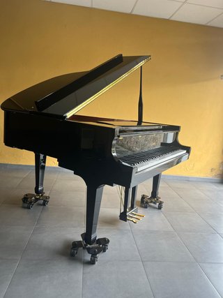 Piano de Cola Essex EGP-155