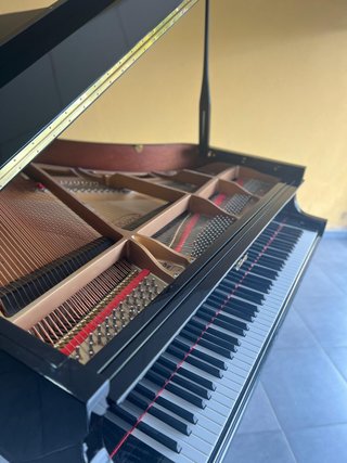 Piano de Cola Essex EGP-155