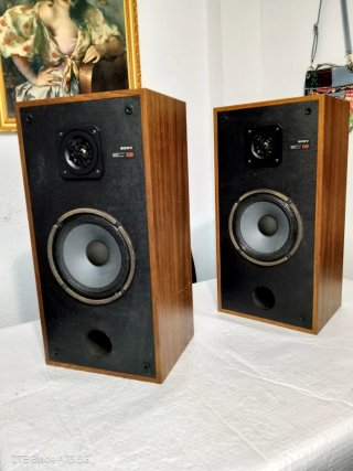 Altavoces Sony SS-E30 (8 Ohmios).