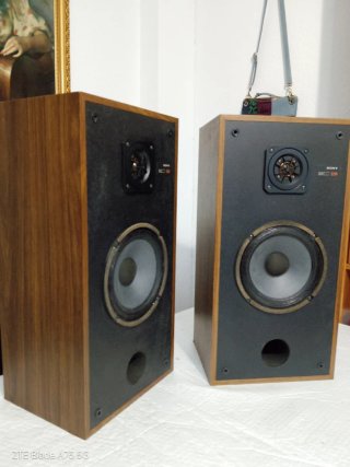 Altavoces Sony SS-E30 (8 Ohmios).