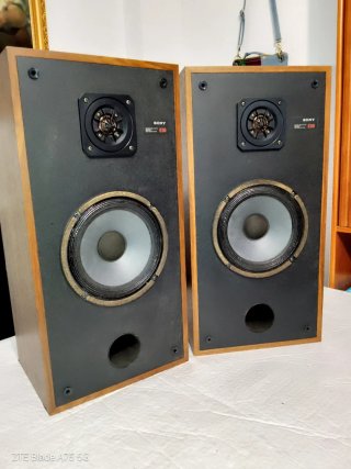 Altavoces Sony SS-E30 (8 Ohmios).