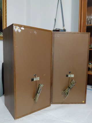 Altavoces Sony SS-E30 (8 Ohmios).