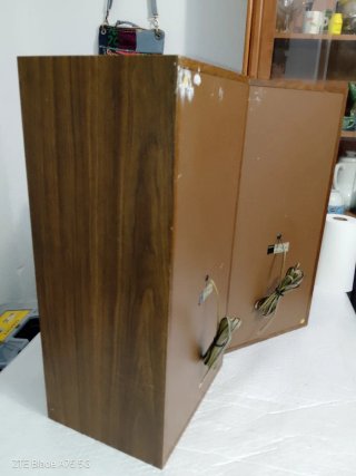 Altavoces Sony SS-E30 (8 Ohmios).