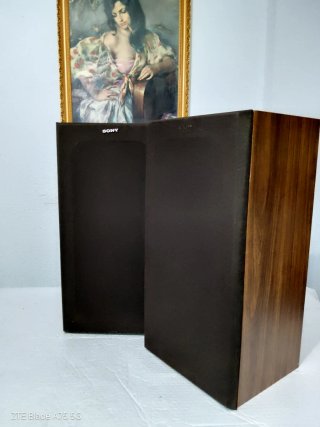 Altavoces Sony SS-E30 (8 Ohmios).