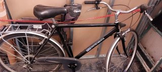 Bicicleta Urbana Vicini Vintage
