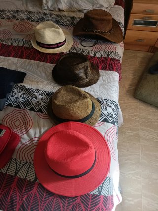 Lote 5 Sombreros Verano