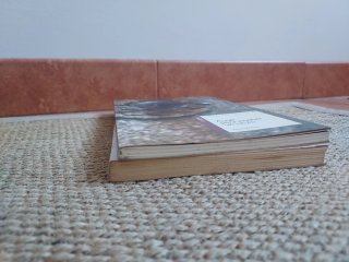 Lote 2 libros Castelao gallego