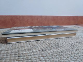 Lote 2 libros Castelao gallego