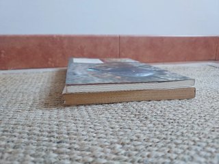 Lote 2 libros Castelao gallego