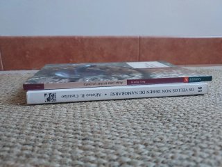 Lote 2 libros Castelao gallego