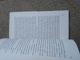 Lote 2 libros Castelao gallego