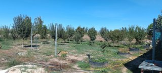 Parcela rustica en venta