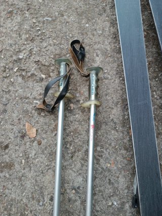 Esquís Fischer Carve Plus 180