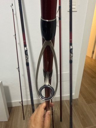 Pareja Cañas Pesca Daiwa Tournament Caster