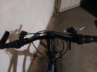 Bicicleta de Montaña