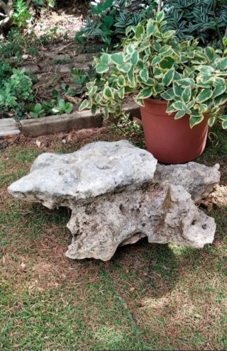 Roca Escultura Natural Tortuga Sierra Morena