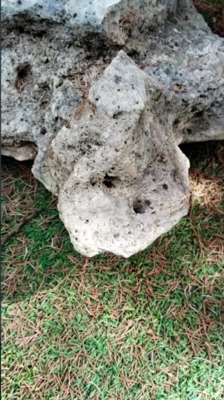 Roca Escultura Natural Tortuga Sierra Morena