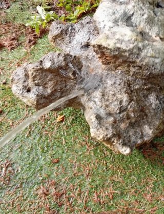 Roca Escultura Natural Tortuga Sierra Morena