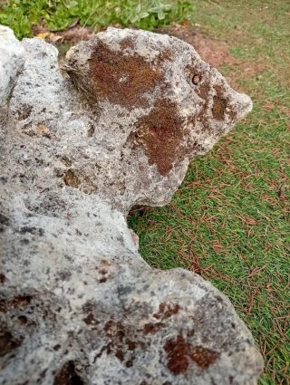 Roca Escultura Natural Tortuga Sierra Morena