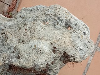 Roca Escultura Natural Tortuga Sierra Morena