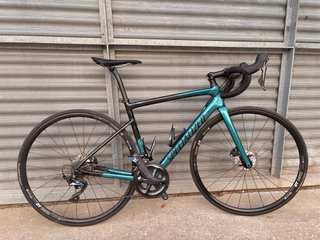 Specialized Tarmac SL6 Peter Sagan
