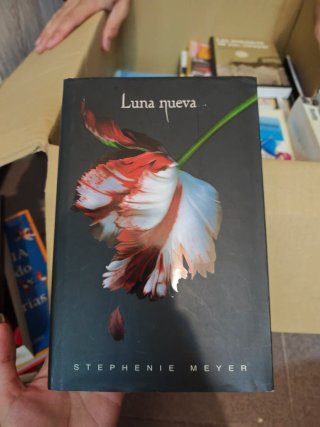 Libros saga Crepúsculo