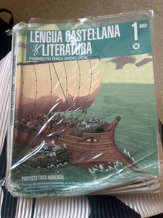 Lengua castellana y literatura, 1 BACH.