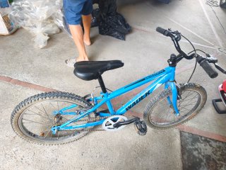 Bicicleta MTB 20 WADER