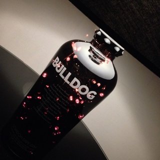 Botella Vacía Bulldog Gin 70cl