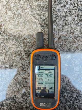 Garmin Alpha 100 + 2 collares TT15