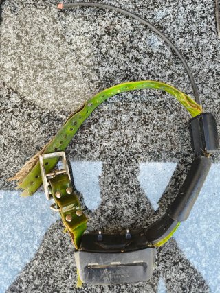 Garmin Alpha 100 + 2 collares TT15