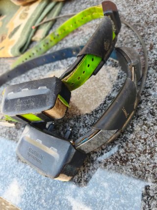 Garmin Alpha 100 + 2 collares TT15