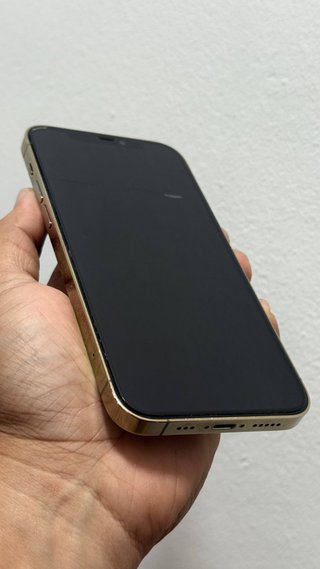 iPhone 12 Pro