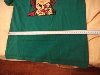 Camiseta The Offspring Verde