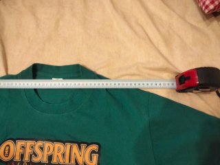 Camiseta The Offspring Verde