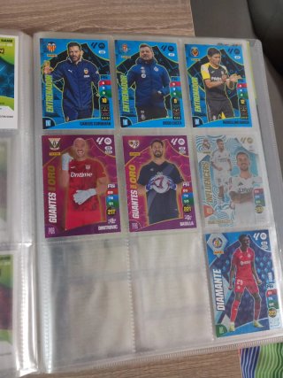 Álbum Adrenalyn LaLiga 2024-25 + lote de cartas