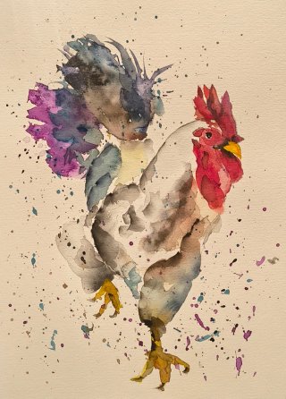 Acquerello acquarello gallo