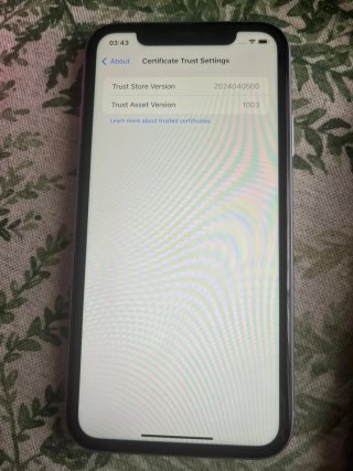iPhone 11
