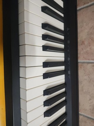 Piano Electrónico Roland FP-10